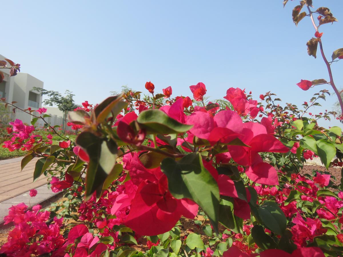 Bermuda Villas Holiday Home 라스알카이마 객실 사진